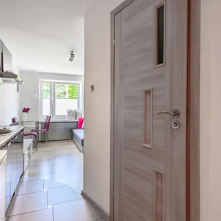 Apartment Synergia Lodz (Lodz)