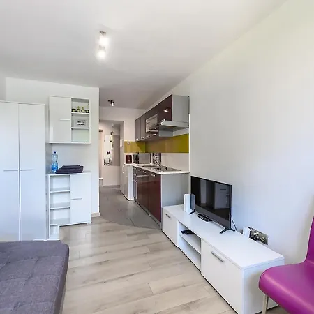 Apartment Synergia